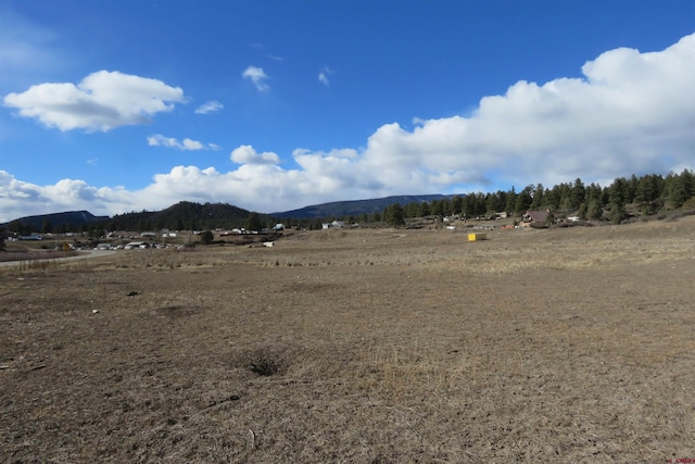 Listing photo 2 for 10883-10995 W US Highway 160, Pagosa Springs CO 81147