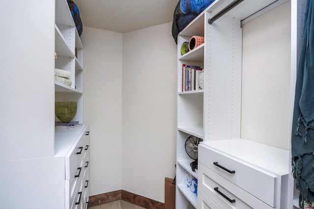 view of spacious closet