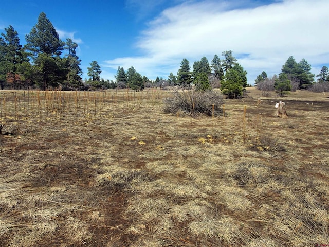 1346 Trails Blvd, Pagosa Springs CO, 81147 land for sale