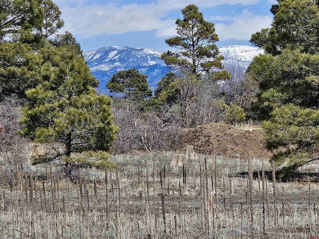 Listing photo 3 for 1346 Trails Blvd, Pagosa Springs CO 81147