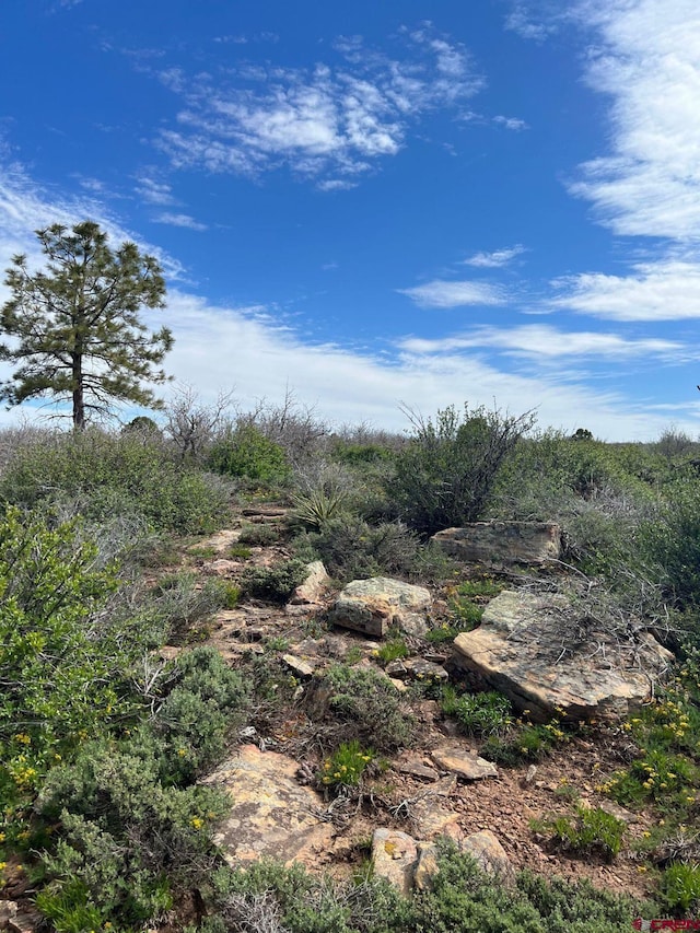 LOT30 County Road C-3, Dove Creek, CO 81324