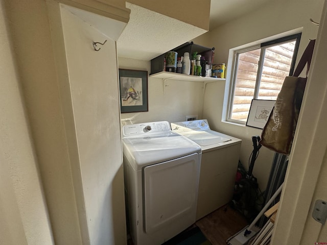 clothes washing area featuring washing machine and dryer and a wealth of natural light