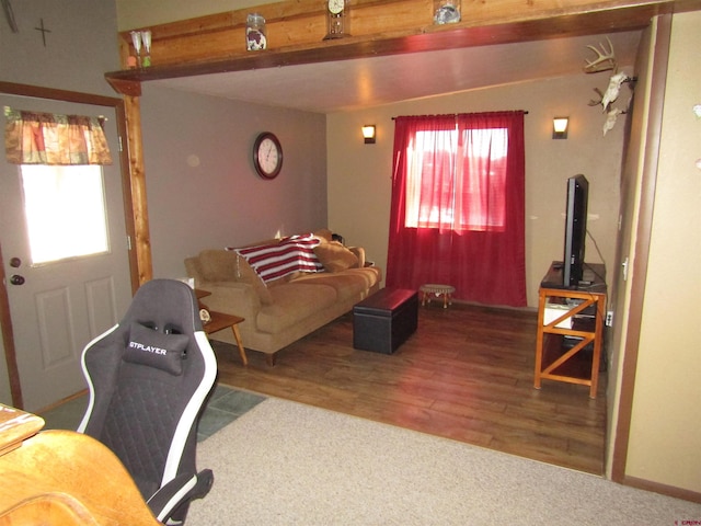 view of carpeted living room