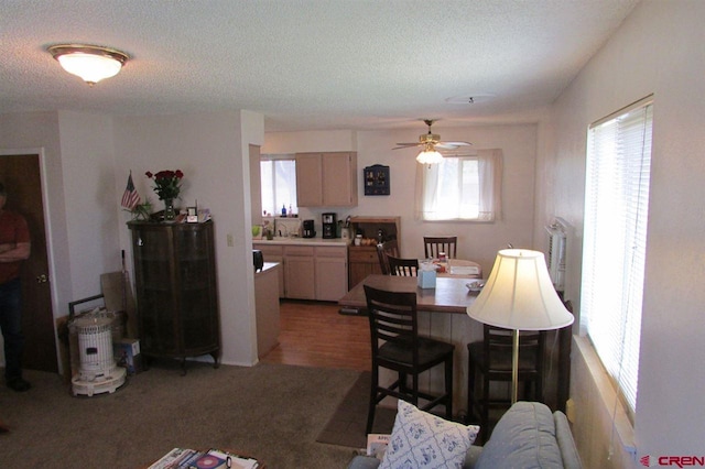 carpeted dining area with a textured ceiling and ceiling fan