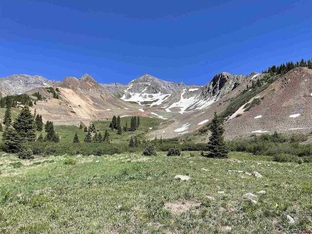 TBD Cr 51, Silverton CO, 81433 land for sale