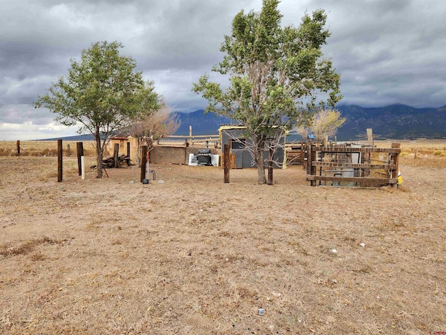 view of yard with a rural view and a mountain view