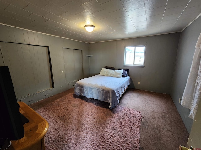 carpeted bedroom with two closets and crown molding