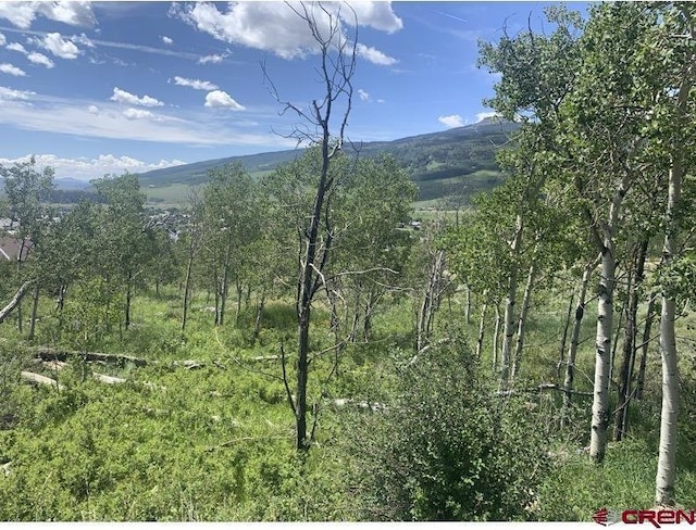 4217 Bryant Ave, Crested Butte CO, 81224 land for sale