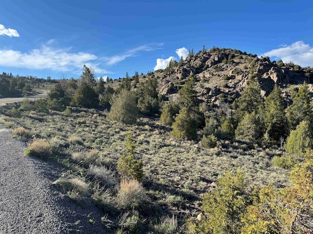 4330 County Road 25, Powderhorn CO, 81243 land for sale