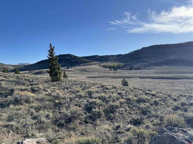 1249 Slumgullion Trl, Powderhorn CO, 81243 land for sale