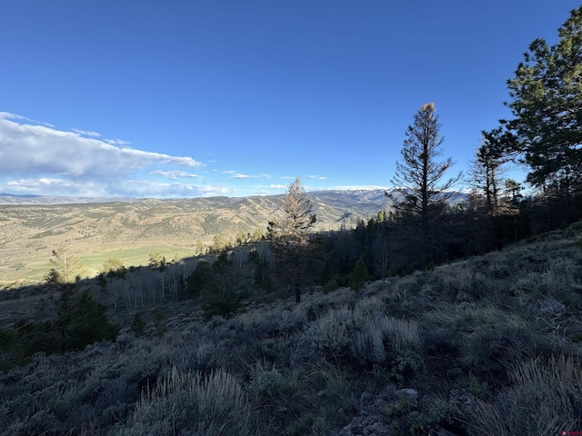 48 Kebler Trl, Powderhorn CO, 81243 land for sale