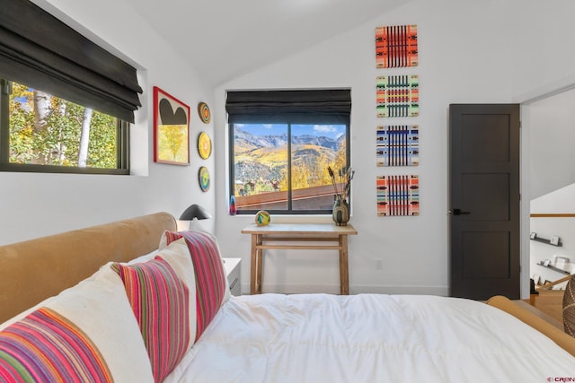 bedroom with lofted ceiling