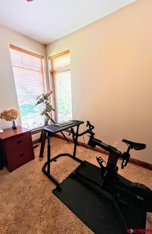 workout room with carpet floors