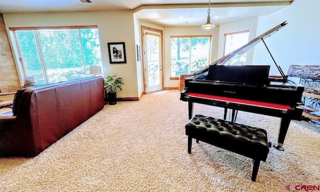 miscellaneous room with light colored carpet