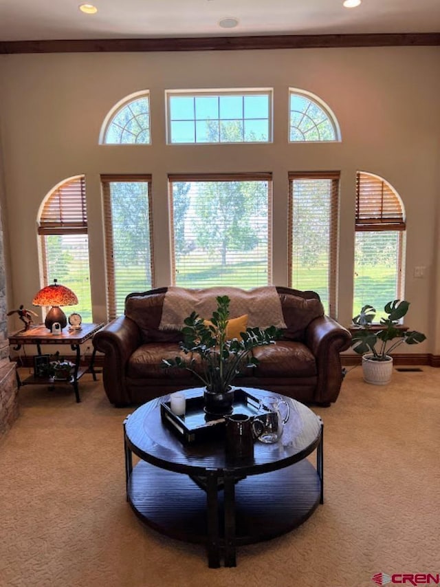 living room featuring ornamental molding and carpet