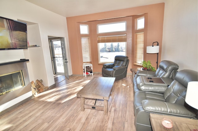 living room featuring light hardwood / wood-style floors