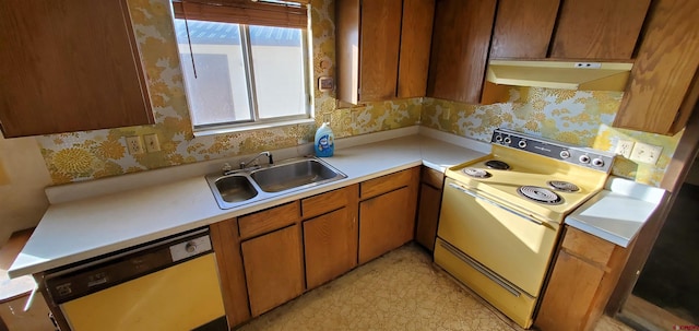 kitchen with sink, range with electric cooktop, and dishwashing machine