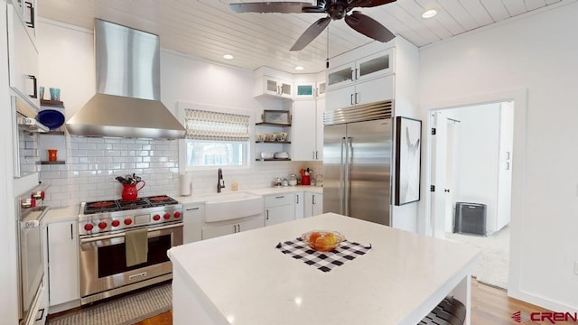 kitchen featuring range hood, white cabinets, high quality appliances, and sink