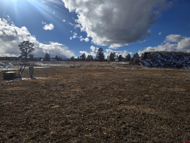 Listing photo 3 for 100 Little Pine Ln, Pagosa Springs CO 81147