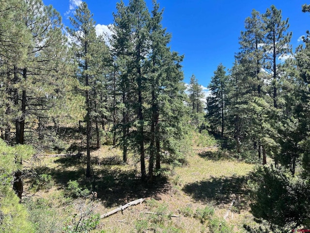 853 Ranchland Dr, Pagosa Springs CO, 81147 land for sale