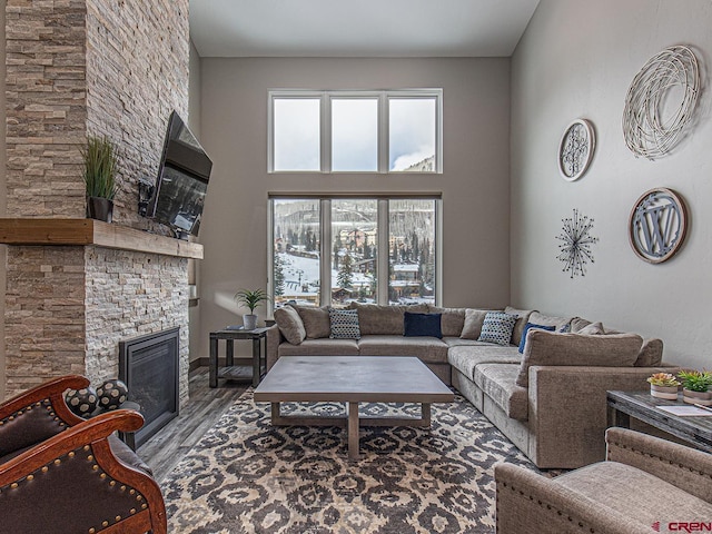 living room with a high ceiling, a fireplace, and hardwood / wood-style flooring