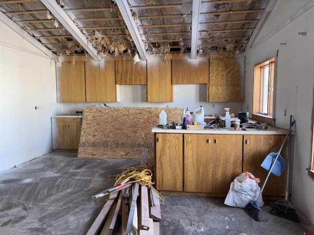 kitchen featuring lofted ceiling