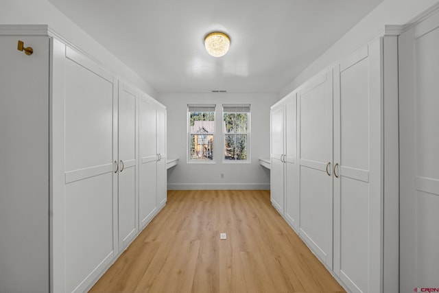 spacious closet featuring light wood-type flooring