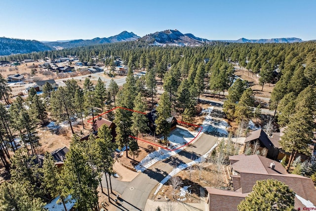 aerial view with a mountain view