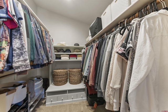 spacious closet featuring carpet flooring