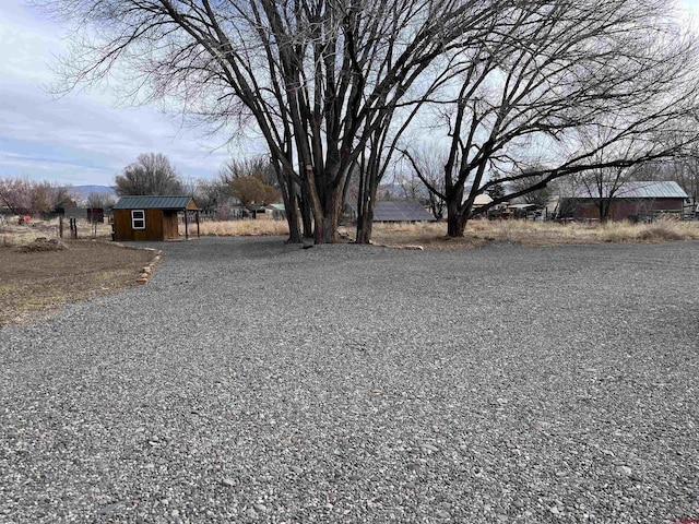 view of yard with a shed