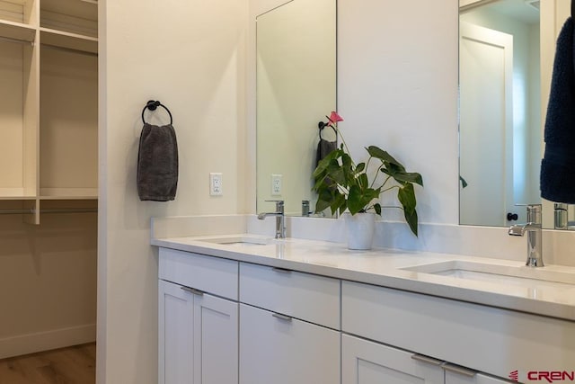 bathroom featuring hardwood / wood-style floors and vanity