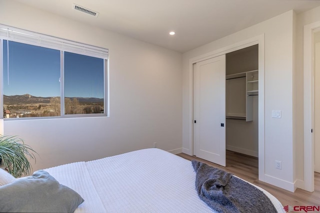 bedroom featuring light wood-type flooring, a closet, and a mountain view