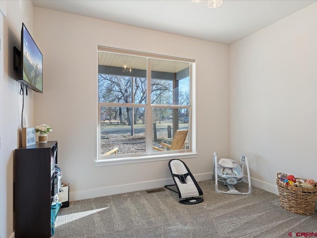 miscellaneous room with carpet floors