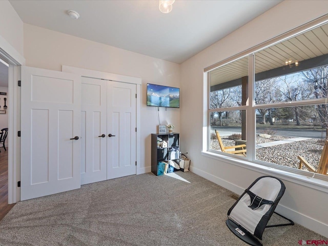 interior space with carpet floors