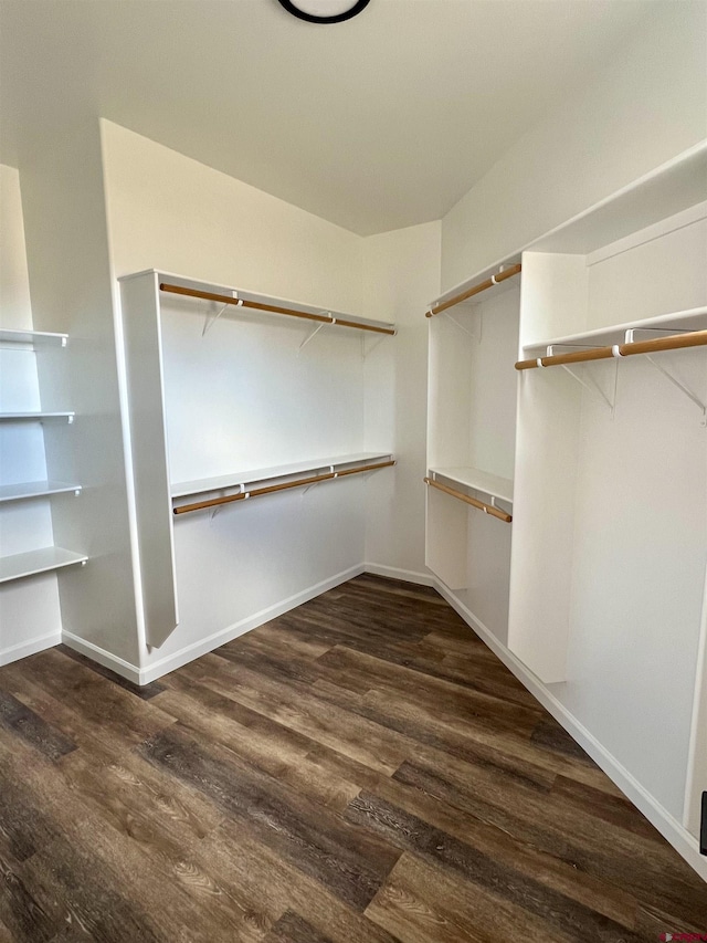 spacious closet with dark hardwood / wood-style flooring