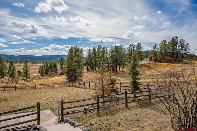 view of yard featuring a mountain view and a rural view