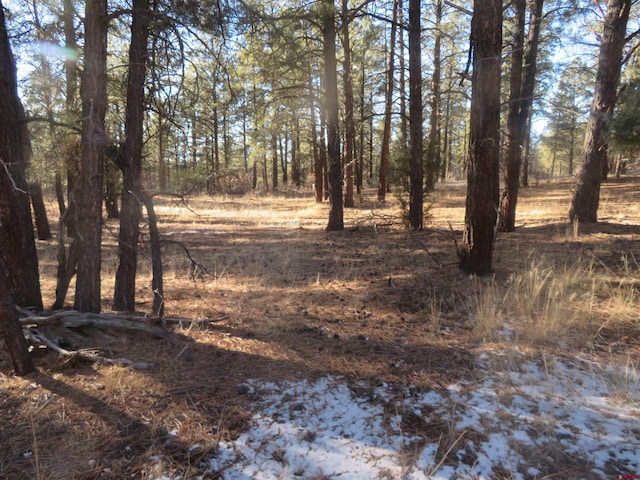 553 Crooked Rd, Pagosa Springs CO, 81147 land for sale