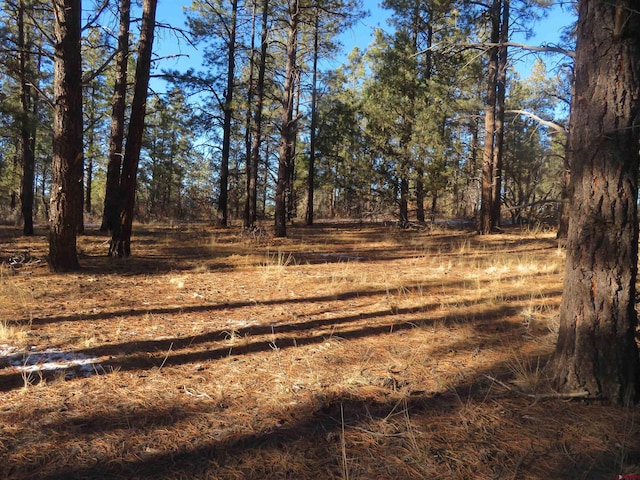 Listing photo 2 for 553 Crooked Rd, Pagosa Springs CO 81147