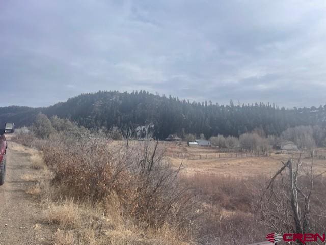 X County Rd 335, Pagosa Springs CO, 81147 land for sale