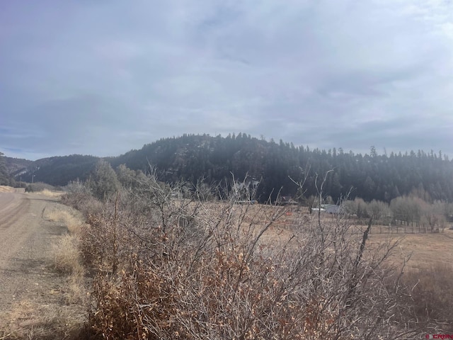 Listing photo 2 for X County Rd 335, Pagosa Springs CO 81147