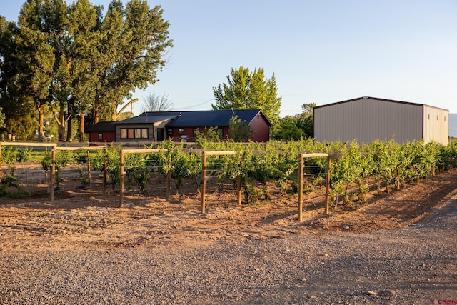 view of yard with a rural view