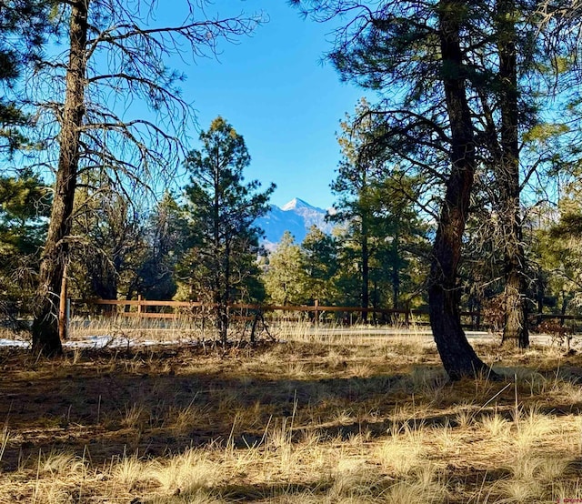 415 Oakbrush St, Pagosa Springs CO, 81147 land for sale