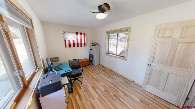 office space featuring light hardwood / wood-style flooring and ceiling fan