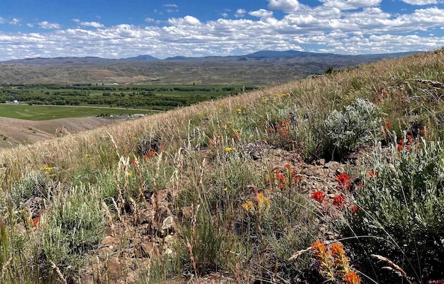 TBD Prosper Lane, Gunnison CO, 81230 land for sale