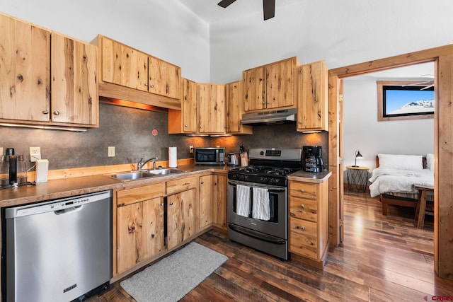 kitchen featuring sink, ceiling fan, dark hardwood / wood-style floors, and appliances with stainless steel finishes