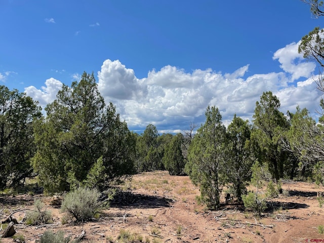 232 Rawhide Rd, Durango CO, 81303 land for sale