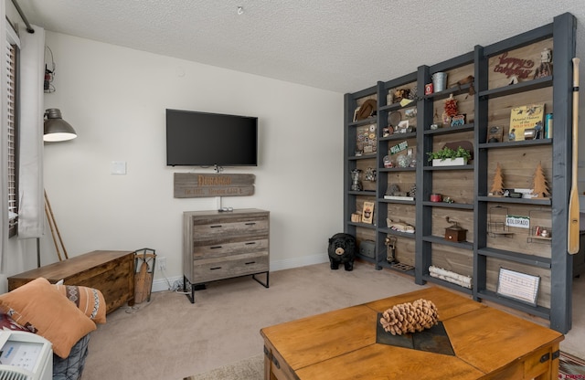 sitting room with a textured ceiling and carpet floors