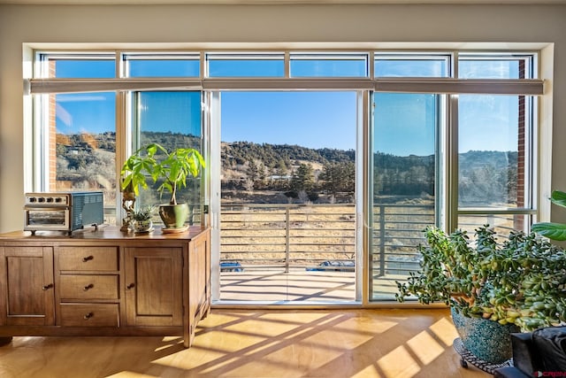 entryway with a healthy amount of sunlight