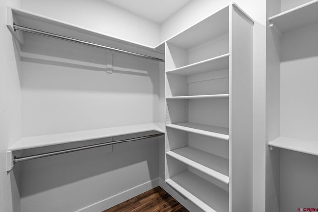 walk in closet featuring dark hardwood / wood-style floors