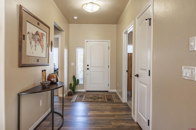 foyer entrance featuring dark wood-type flooring